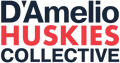 D'Amelio Huskies